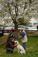 /album/medlanecky-sysel-5-4-2014/a5-4-9-jpg/